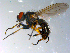 ( - 10PROBE-10946)  @14 [ ] CreativeCommons - Attribution (2011) CBG Photography Group Centre for Biodiversity Genomics