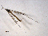  ( - 10PROBE-11014)  @12 [ ] CreativeCommons - Attribution (2011) CBG Photography Group Centre for Biodiversity Genomics