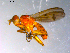  ( - 10PROBE-11018)  @13 [ ] CreativeCommons - Attribution (2011) CBG Photography Group Centre for Biodiversity Genomics