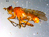  ( - 10PROBE-11051)  @12 [ ] CreativeCommons - Attribution (2011) CBG Photography Group Centre for Biodiversity Genomics