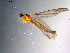  ( - 10PROBE-11128)  @12 [ ] CreativeCommons - Attribution (2011) CBG Photography Group Centre for Biodiversity Genomics