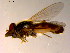  ( - 10PROBE-11152)  @13 [ ] CreativeCommons - Attribution (2011) CBG Photography Group Centre for Biodiversity Genomics