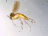  ( - 10PROBE-11189)  @13 [ ] CreativeCommons - Attribution (2011) CBG Photography Group Centre for Biodiversity Genomics