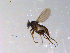  ( - 10PROBE-11202)  @12 [ ] CreativeCommons - Attribution (2011) CBG Photography Group Centre for Biodiversity Genomics