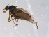  ( - 10PROBE-11203)  @12 [ ] CreativeCommons - Attribution (2011) CBG Photography Group Centre for Biodiversity Genomics