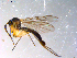  ( - 10PROBE-11251)  @13 [ ] CreativeCommons - Attribution (2011) CBG Photography Group Centre for Biodiversity Genomics