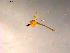  ( - 10PROBE-11519)  @12 [ ] CreativeCommons - Attribution (2011) CBG Photography Group Centre for Biodiversity Genomics