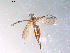  ( - 10PROBE-11590)  @12 [ ] CreativeCommons - Attribution (2011) CBG Photography Group Centre for Biodiversity Genomics