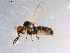  ( - 10PROBE-11629)  @13 [ ] CreativeCommons - Attribution (2011) CBG Photography Group Centre for Biodiversity Genomics