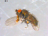  ( - 10PROBE-11631)  @13 [ ] CreativeCommons - Attribution (2011) CBG Photography Group Centre for Biodiversity Genomics