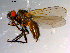  ( - 10PROBE-11691)  @12 [ ] CreativeCommons - Attribution (2011) CBG Photography Group Centre for Biodiversity Genomics
