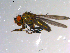 ( - 10PROBE-11709)  @13 [ ] CreativeCommons - Attribution (2011) CBG Photography Group Centre for Biodiversity Genomics