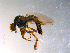  ( - 10PROBE-11723)  @13 [ ] CreativeCommons - Attribution (2011) CBG Photography Group Centre for Biodiversity Genomics