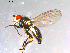  ( - 10PROBE-11854)  @12 [ ] CreativeCommons - Attribution (2011) CBG Photography Group Centre for Biodiversity Genomics