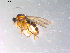  ( - 10PROBE-11900)  @13 [ ] CreativeCommons - Attribution (2011) CBG Photography Group Centre for Biodiversity Genomics