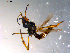  ( - 10PROBE-12015)  @13 [ ] CreativeCommons - Attribution (2011) CBG Photography Group Centre for Biodiversity Genomics
