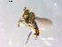  ( - 10PROBE-12189)  @13 [ ] CreativeCommons - Attribution (2011) CBG Photography Group Centre for Biodiversity Genomics