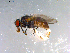  ( - 10PROBE-12265)  @13 [ ] CreativeCommons - Attribution (2011) CBG Photography Group Centre for Biodiversity Genomics