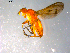  ( - 10PROBE-12380)  @12 [ ] CreativeCommons - Attribution (2011) CBG Photography Group Centre for Biodiversity Genomics
