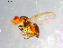 ( - 10PROBE-12383)  @12 [ ] CreativeCommons - Attribution (2011) CBG Photography Group Centre for Biodiversity Genomics