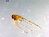  ( - 10PROBE-12415)  @12 [ ] CreativeCommons - Attribution (2011) CBG Photography Group Centre for Biodiversity Genomics