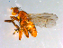  ( - 10PROBE-12417)  @12 [ ] CreativeCommons - Attribution (2011) CBG Photography Group Centre for Biodiversity Genomics