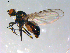  ( - 10PROBE-12428)  @13 [ ] CreativeCommons - Attribution (2011) CBG Photography Group Centre for Biodiversity Genomics