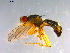  ( - 10PROBE-12569)  @12 [ ] CreativeCommons - Attribution (2011) CBG Photography Group Centre for Biodiversity Genomics