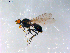  ( - 10PROBE-12691)  @13 [ ] CreativeCommons - Attribution (2011) CBG Photography Group Centre for Biodiversity Genomics