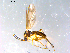  ( - 10PROBE-12697)  @12 [ ] CreativeCommons - Attribution (2011) CBG Photography Group Centre for Biodiversity Genomics