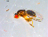  ( - 10PROBE-12778)  @12 [ ] CreativeCommons - Attribution (2011) CBG Photography Group Centre for Biodiversity Genomics
