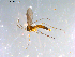  ( - 10PROBE-12786)  @13 [ ] CreativeCommons - Attribution (2011) CBG Photography Group Centre for Biodiversity Genomics