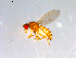  ( - 10PROBE-12873)  @12 [ ] CreativeCommons - Attribution (2011) CBG Photography Group Centre for Biodiversity Genomics