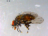  ( - 10PROBE-12923)  @12 [ ] CreativeCommons - Attribution (2011) CBG Photography Group Centre for Biodiversity Genomics