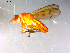  ( - 10PROBE-12949)  @12 [ ] CreativeCommons - Attribution (2011) CBG Photography Group Centre for Biodiversity Genomics