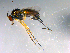  ( - 10PROBE-13072)  @12 [ ] CreativeCommons - Attribution (2011) CBG Photography Group Centre for Biodiversity Genomics