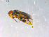  ( - 10PROBE-13087)  @13 [ ] CreativeCommons - Attribution (2011) CBG Photography Group Centre for Biodiversity Genomics