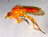  ( - 10PROBE-13157)  @12 [ ] CreativeCommons - Attribution (2011) CBG Photography Group Centre for Biodiversity Genomics
