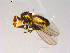  ( - 10PROBE-13217)  @12 [ ] CreativeCommons - Attribution (2011) CBG Photography Group Centre for Biodiversity Genomics
