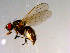  ( - 10PROBE-13273)  @13 [ ] CreativeCommons - Attribution (2011) CBG Photography Group Centre for Biodiversity Genomics