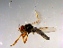  ( - 10PROBE-13330)  @13 [ ] CreativeCommons - Attribution (2011) CBG Photography Group Centre for Biodiversity Genomics