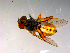 ( - 10PROBE-13370)  @12 [ ] CreativeCommons - Attribution (2011) CBG Photography Group Centre for Biodiversity Genomics