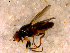  ( - 10PROBE-13375)  @12 [ ] CreativeCommons - Attribution (2011) CBG Photography Group Centre for Biodiversity Genomics