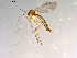  ( - 10PROBE-13418)  @13 [ ] CreativeCommons - Attribution (2011) CBG Photography Group Centre for Biodiversity Genomics