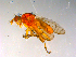  ( - 10PROBE-13428)  @13 [ ] CreativeCommons - Attribution (2011) CBG Photography Group Centre for Biodiversity Genomics