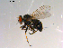  ( - 10PROBE-13432)  @13 [ ] CreativeCommons - Attribution (2011) CBG Photography Group Centre for Biodiversity Genomics