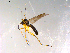  ( - 10PROBE-13471)  @13 [ ] CreativeCommons - Attribution (2011) CBG Photography Group Centre for Biodiversity Genomics