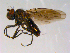  ( - 10PROBE-13781)  @13 [ ] CreativeCommons - Attribution (2011) CBG Photography Group Centre for Biodiversity Genomics