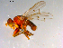  ( - 10PROBE-13860)  @12 [ ] CreativeCommons - Attribution (2011) CBG Photography Group Centre for Biodiversity Genomics