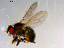  ( - 10PROBE-13867)  @13 [ ] CreativeCommons - Attribution (2011) CBG Photography Group Centre for Biodiversity Genomics